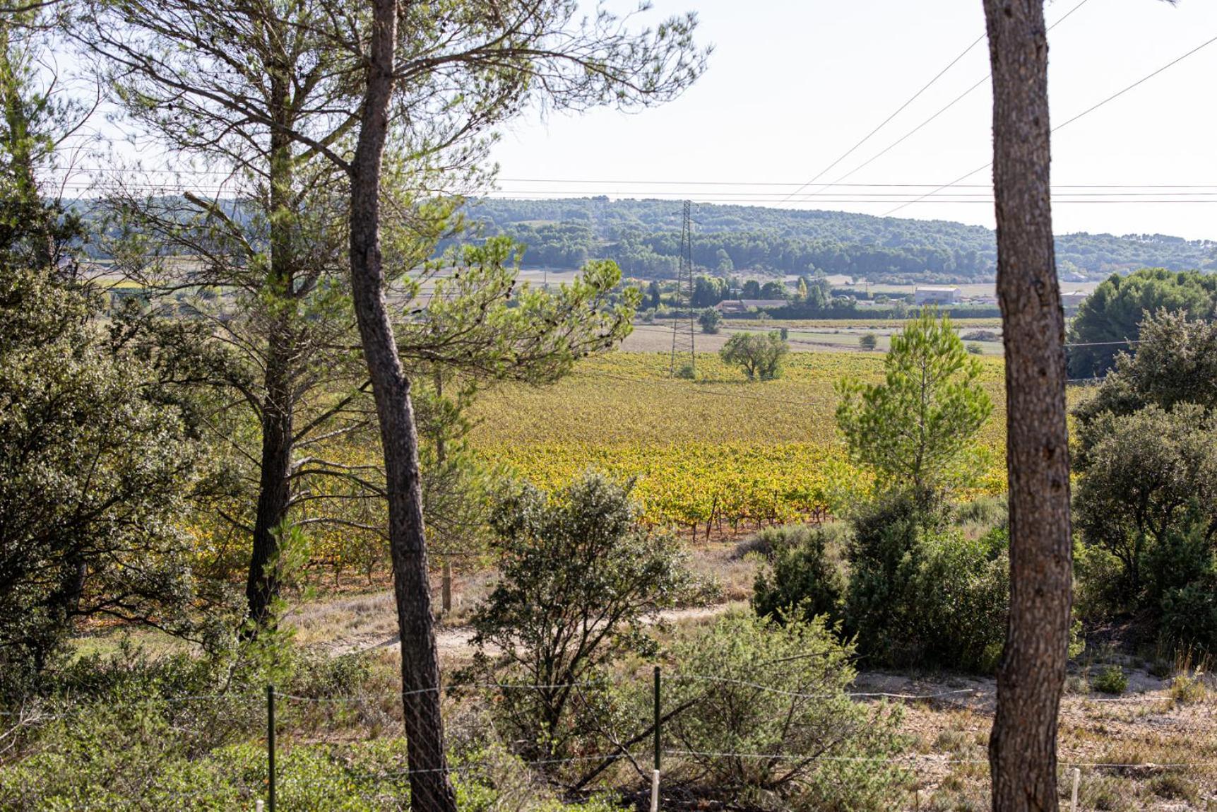 Mas Lou Felibrige Bed & Breakfast Venelles Dış mekan fotoğraf
